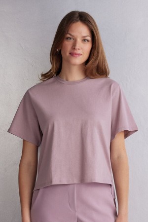 Intimissimi Boxy Fit Cotton Donna Short Sleeve Rosa | 138-QIGEAZ