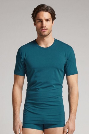 Intimissimi Stretch Superior Cotton Uomo Maglietta Verdi | 295-NMFAWK