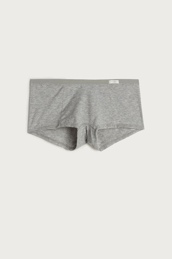 Intimissimi Cotton Boyshorts Donna Pantaloncini Grigie Chiaro | 691-SWBEUQ